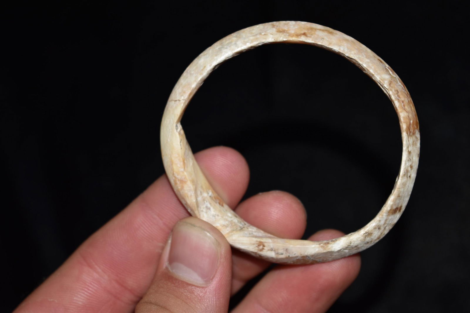 2 3/4" Shell Bracelet, Hohokam (1 of 5)