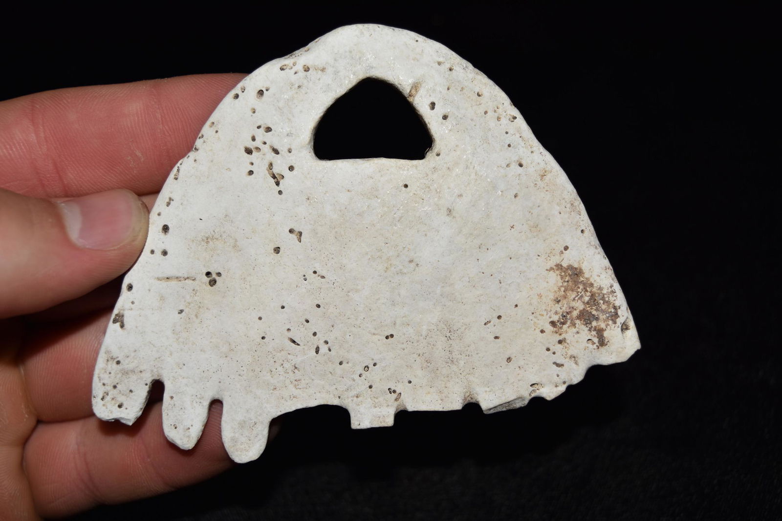 4" Shell Gorget from Mexico (1 of 7)