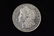 1881 High Grade Morgan Silver Dollar Grade By Picture.