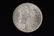 1884 High Grade Morgan Silver Dollar Grade By Picture.