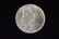 1889 High Grade Morgan Silver Dollar Grade By Picture.