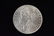 1887 High Grade Morgan Silver Dollar Grade By Picture.