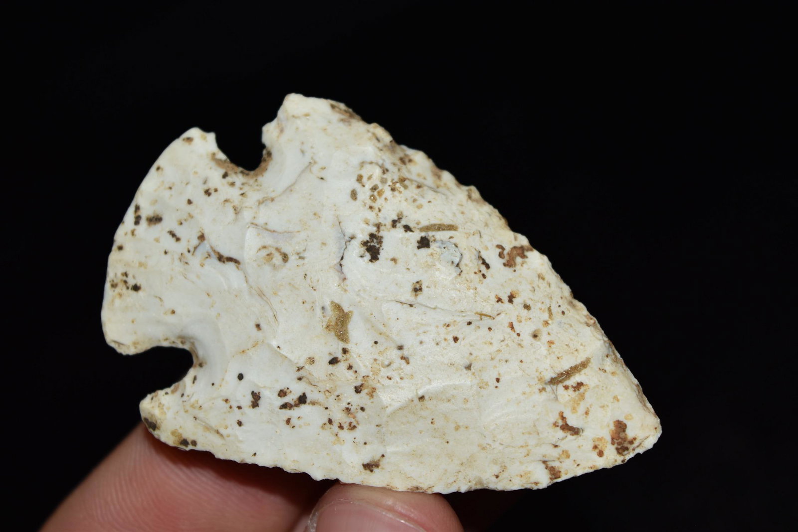 2 1/2" Dovetail, Lightly Beveled, Missouri, Collection (1 of 7)