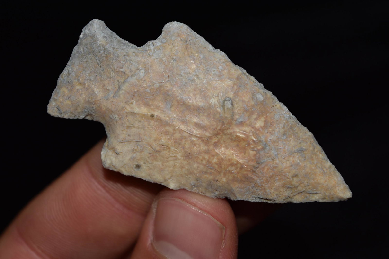 2 3/8" Apple Creek, Found in NE Missouri by Jeff Gower (1 of 7)