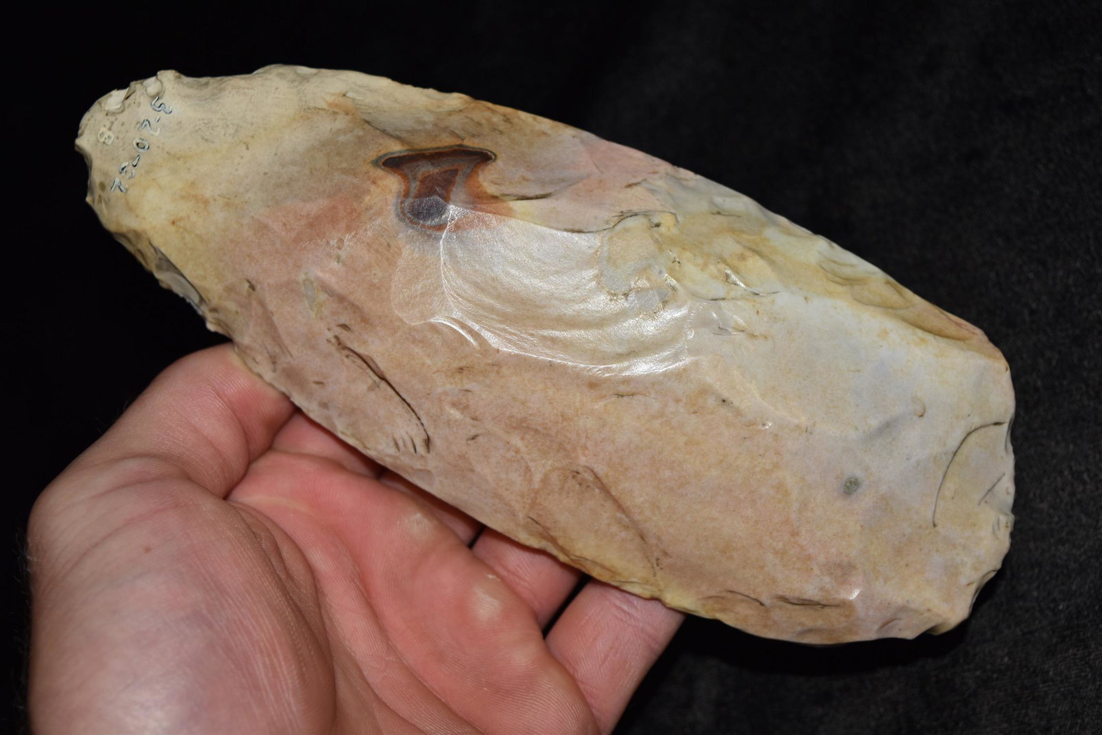 7 5/8" Highly Polished High Ridge Chert Spade, Found: 8 5/8" Highly Polished High Ridge Chert Spade, Found near Chesterfield St Louis Co, Missouri, March 30 1932, Ex Ben Thompson