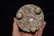 5" Tall Tri Leg Mayan Engraved Cup, Pre Columbian, Ex - 6