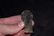 3 3/4" Handled Square Knife made of Sonora Chert - 4