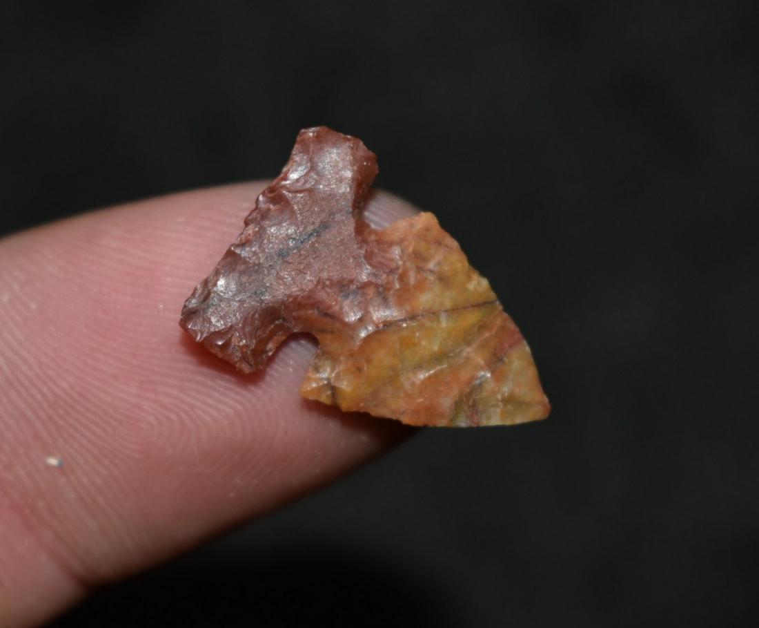 3/4" Side notch, Grant Co, North Dakota (1 of 4)