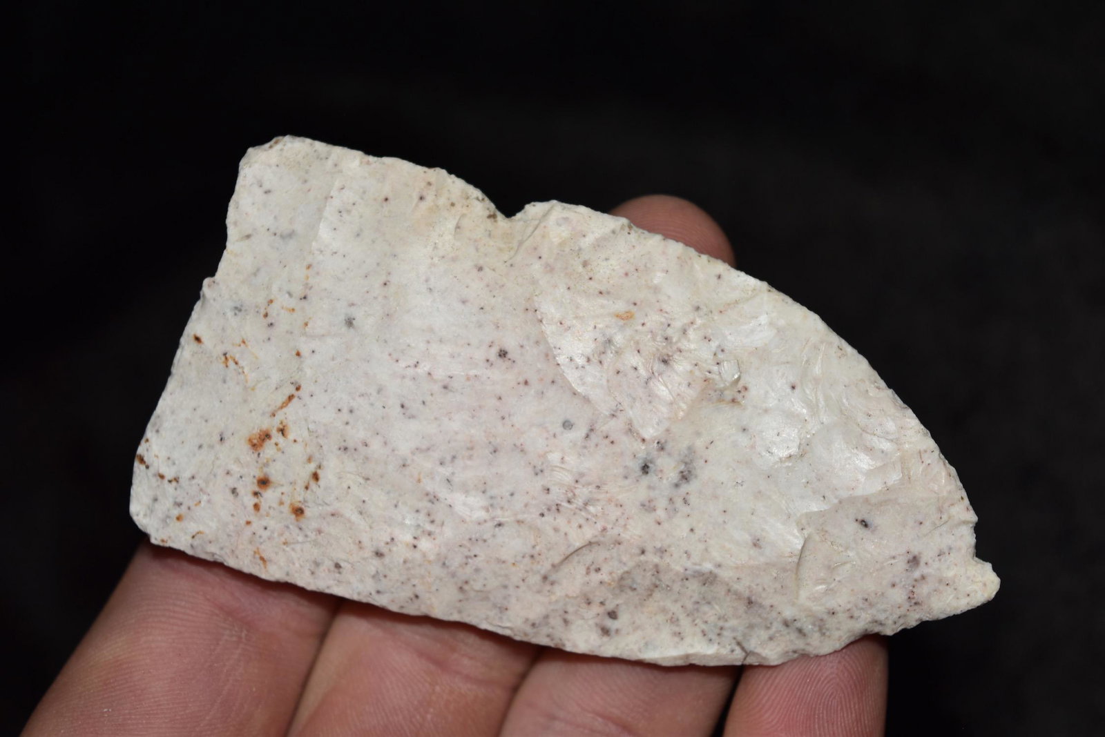 3 5/8" Early Archaic Blade, Ex Dr. Nuckles Collection, (1 of 5)