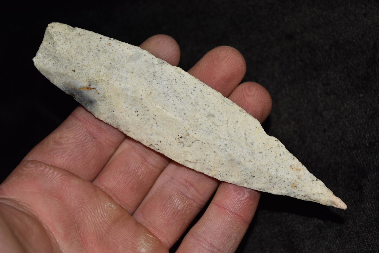 5 1/4" Super Fine Sedalia, Ground Base, Ex Dr. Nuckles (1 of 5)