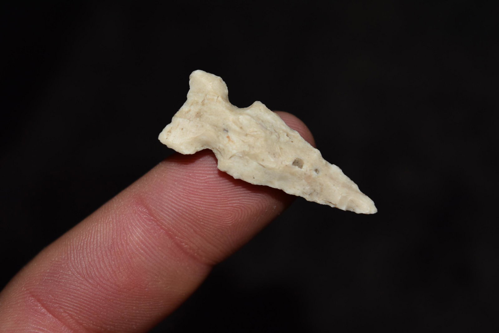 1 3/8" Bird Point, FB Jeff Gower, NE Missouri (1 of 4)