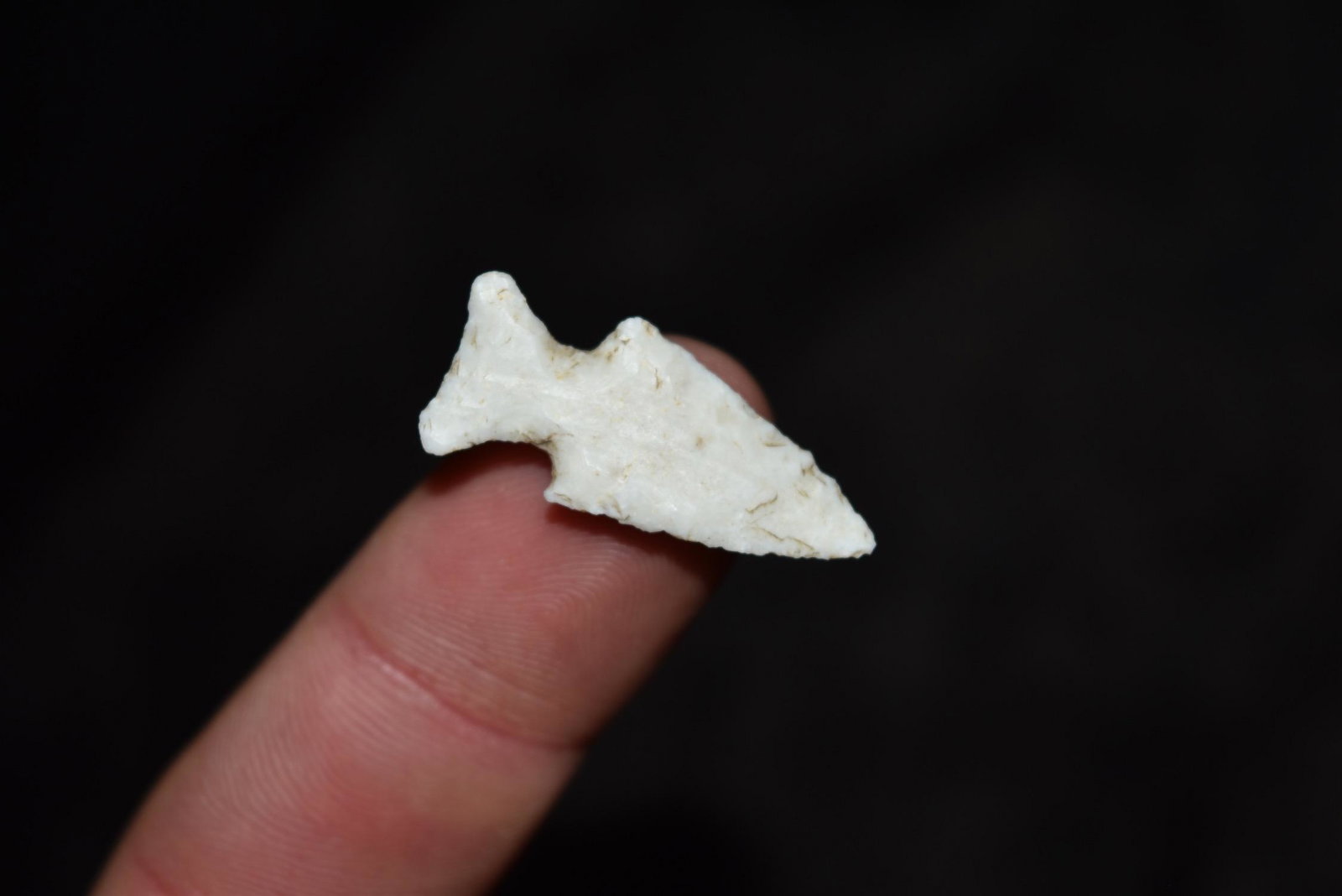 1 1/8" Bird Point, FB Jeff Gower, NE Missouri (1 of 4)