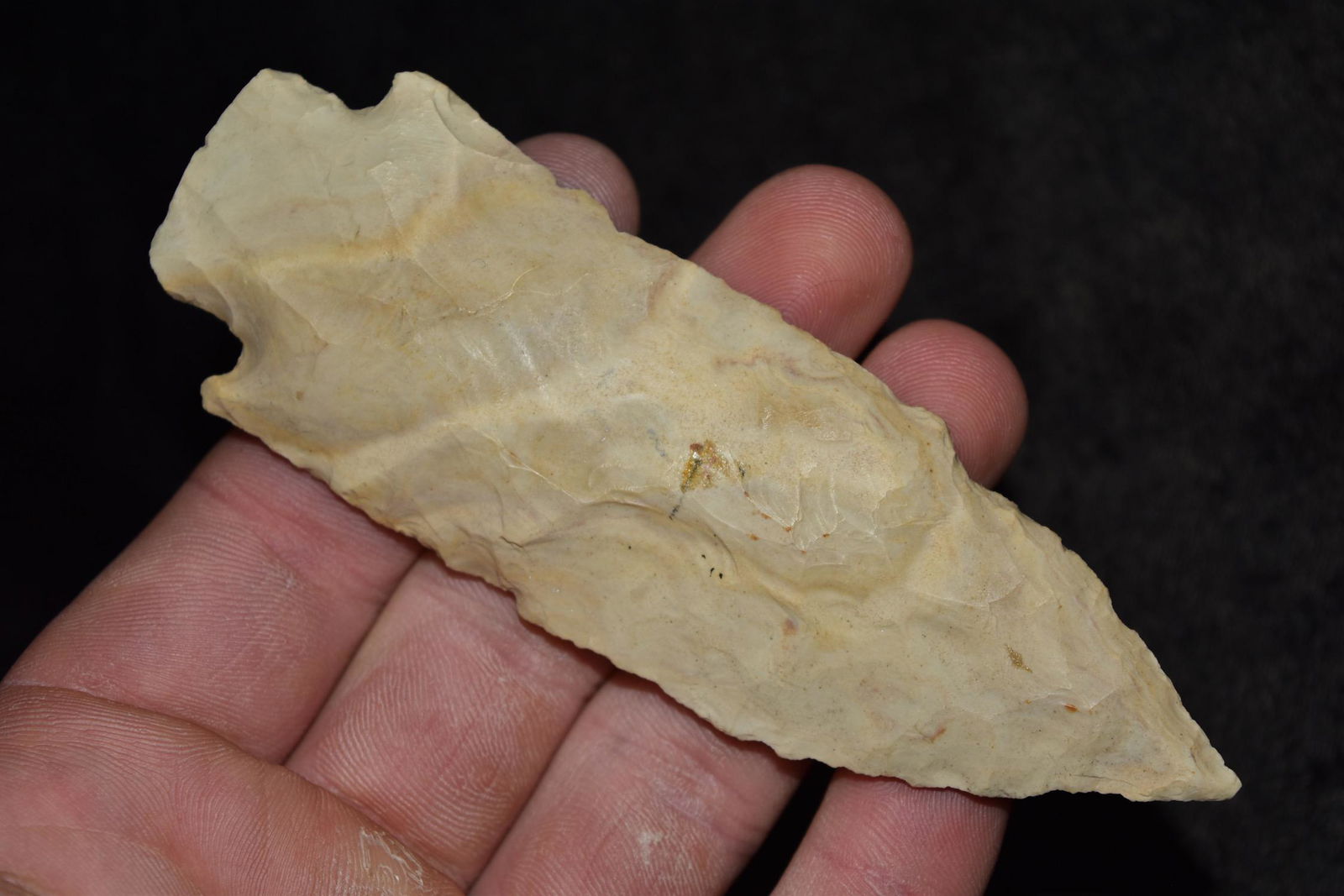 4 1/2" Etley, Stermer COA, Jefferson Co, Missouri (1 of 8)