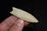 2 1/2" Plainview, Hixton Quartzite, Keele COA, Ogle Co,