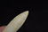 2 1/2" Plainview, Hixton Quartzite, Keele COA, Ogle Co, - 5