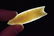 2 1/2" Plainview, Hixton Quartzite, Keele COA, Ogle Co, - 7