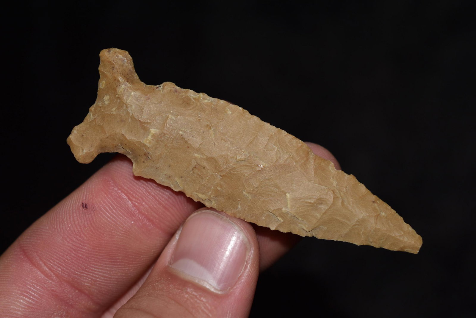 2 3/4" Big Sandy, Dickey COA, Wayne Co, Tennessee (1 of 8)