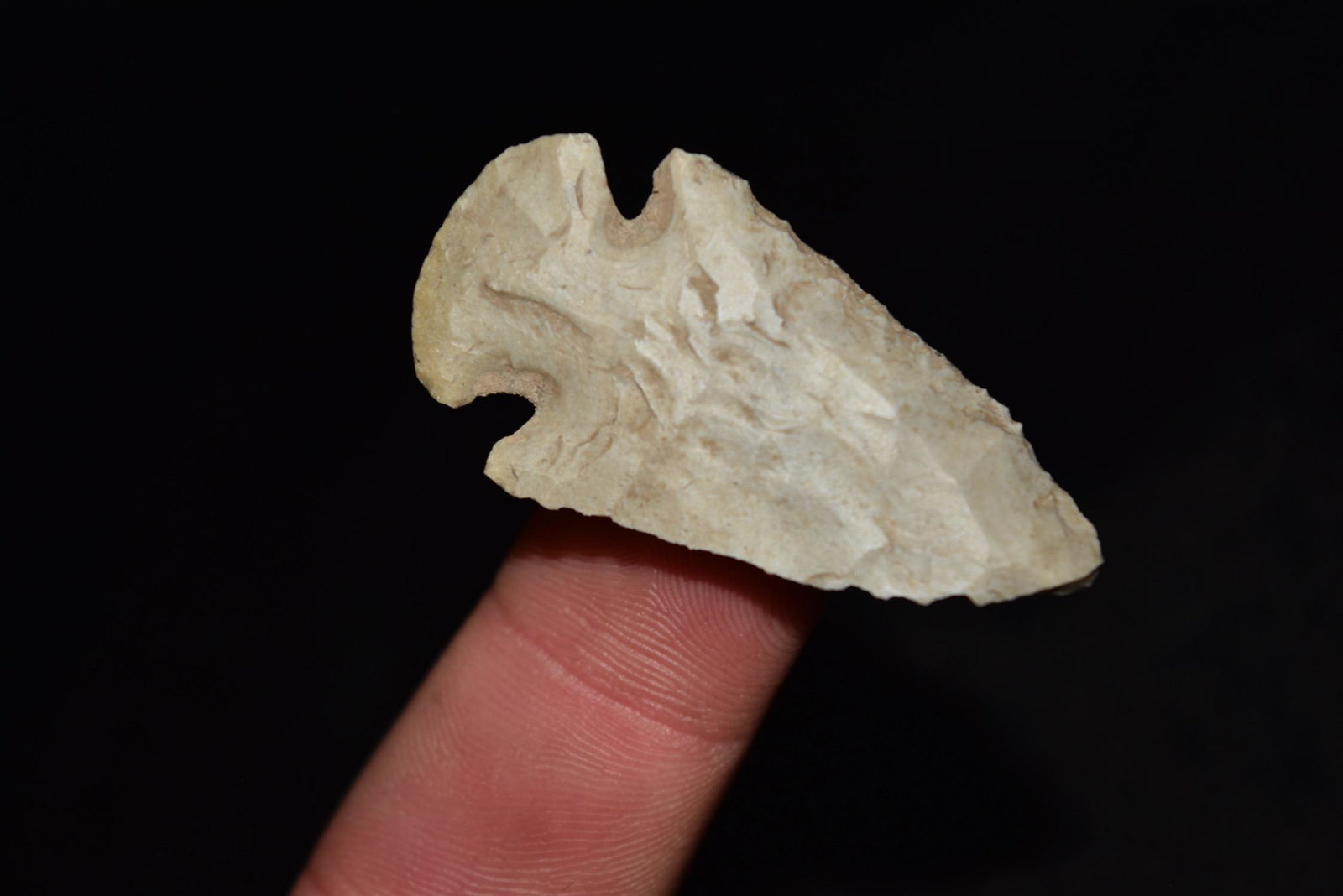 1 3/4" Miniature Dovetail, Southern Illinois (1 of 4)