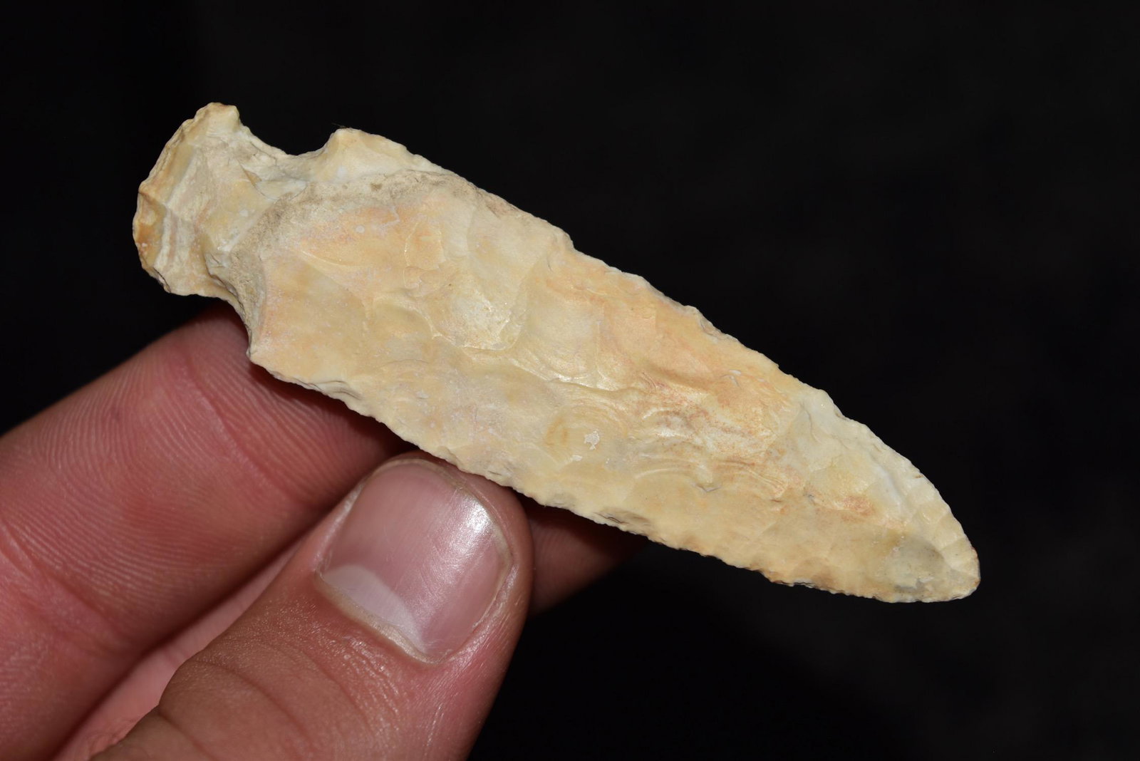 3 1/16" Table Rock, Motley COA, Polk Co, Missouri (1 of 6)