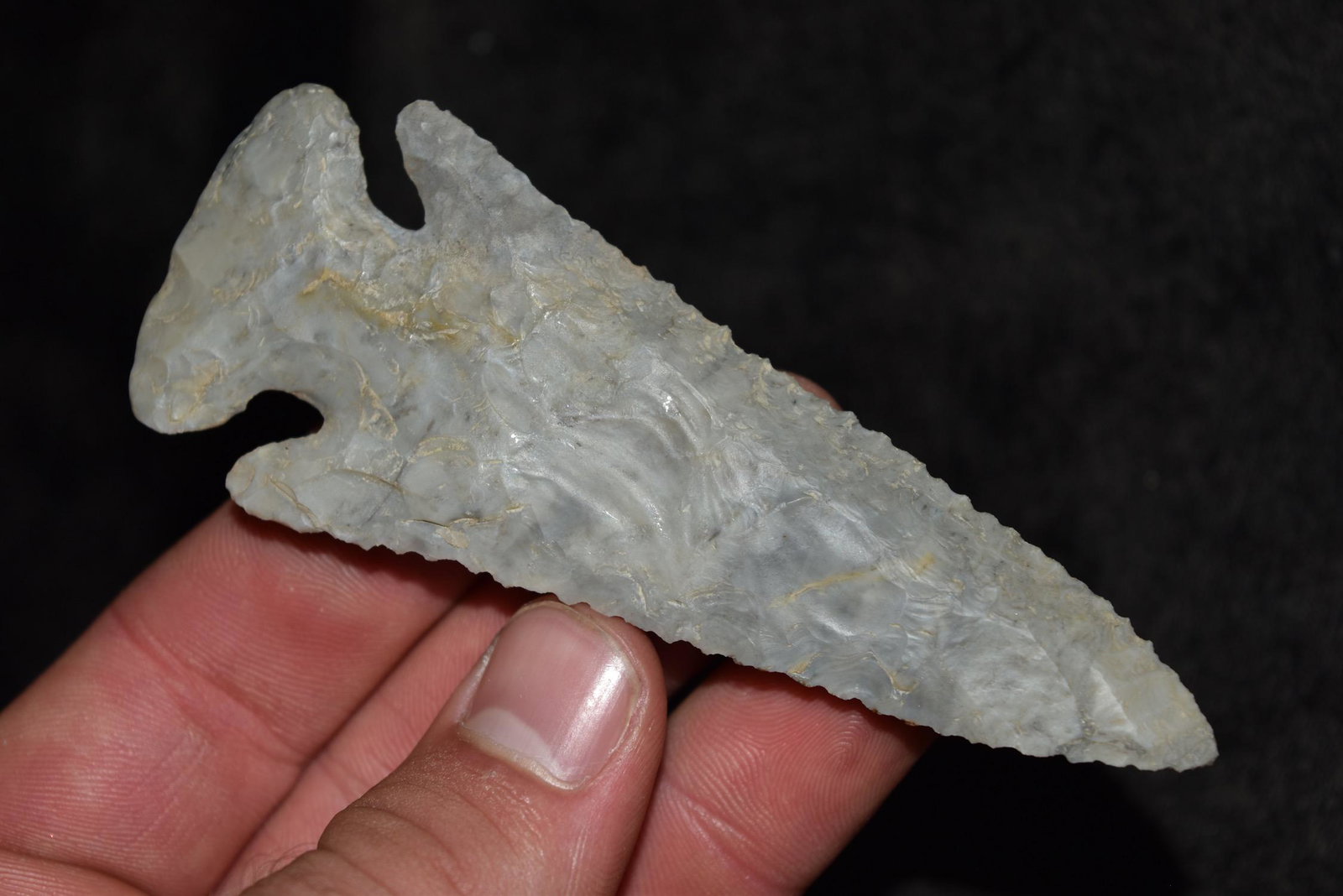 4" Thebes, Motley COA, Ohio, One Ear Professionally (1 of 8)