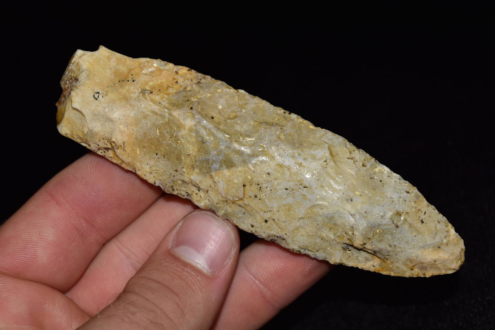 4 1/2" Sedalia, Central Missouri, Deconsessioned From a (1 of 5)