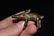 1800s Brass / Bronze African Gold Weight Asante,