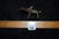 1800s Brass / Bronze African Gold Weight Asante, - 6