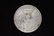 1921, Silver Dollar, Grade by Picture - 2