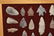 Frame of Texas Arrowheads, Donny Austin Collection - 2