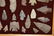Frame of Texas Arrowheads, Donny Austin Collection - 5