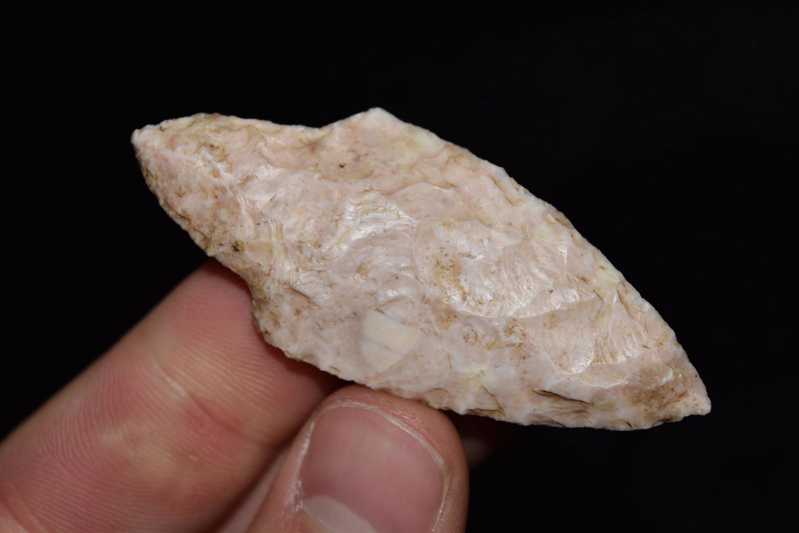 2 1/2" Adena, Bob Zimmerman Collection, St Joseph,: 2 1/2" Adena, Bob Zimmerman Collection, St Joseph, Missouri