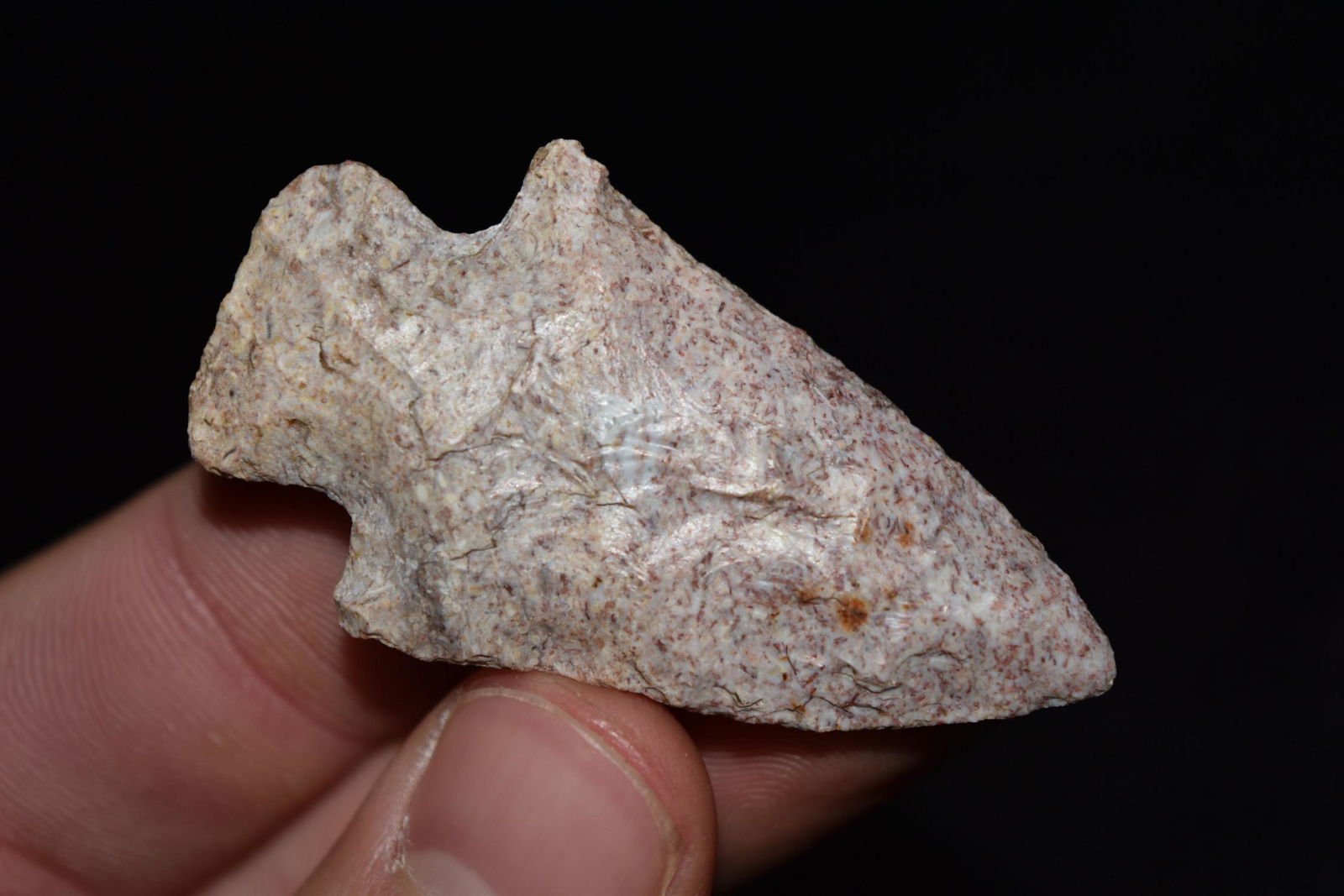 2 1/8" Apple Creek, Good Color, Bob Zimmerman: 2 1/8" Apple Creek, Good Color, Bob Zimmerman Collection, St Joseph, Missouri