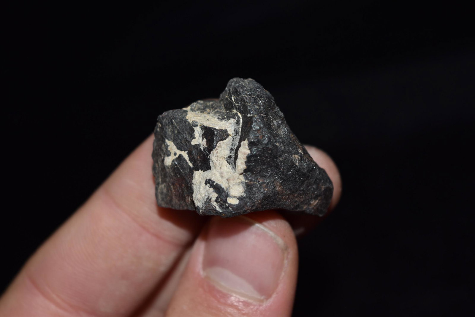 Campo Del Cielo Meteorite, Argentina: Campo Del Cielo Meteorite, Argentina