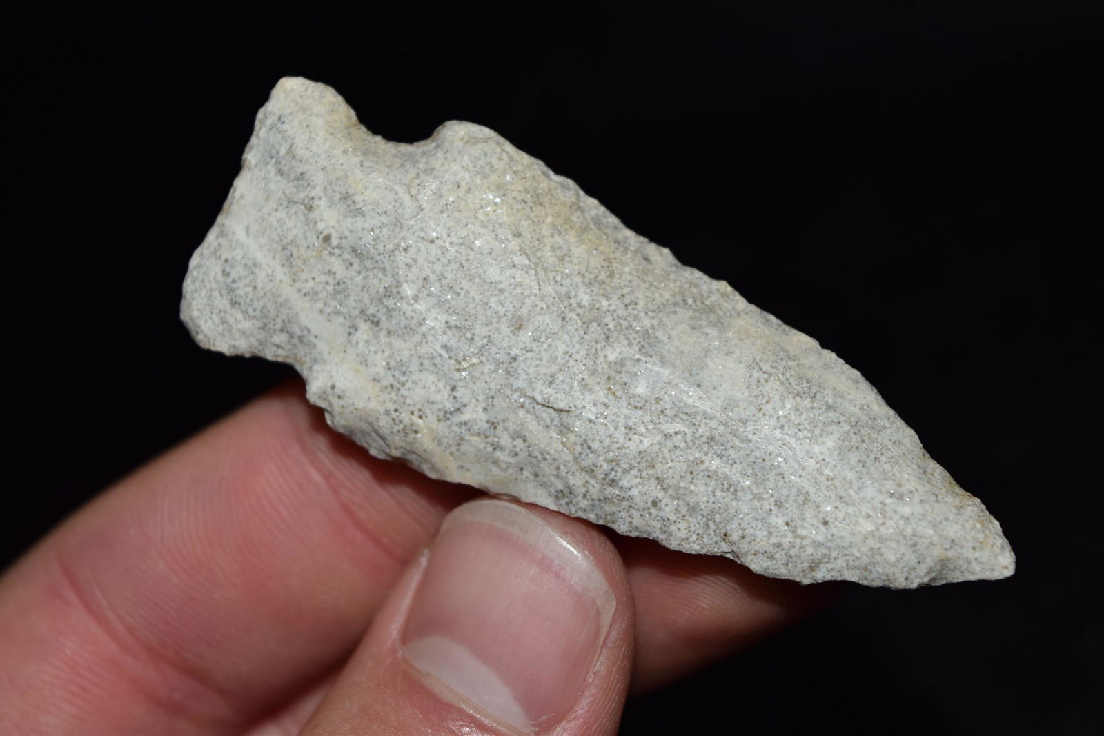 2 5/8" Rice Lobed Side Notch Point, Missouri: 2 5/8" Rice Lobed Side Notch Point, Missouri