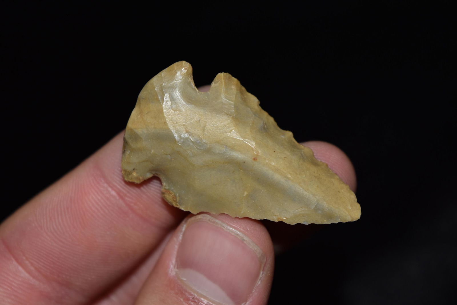 1 3/4" Dovetail Point, Jersey Co, Illinois (1 of 5)