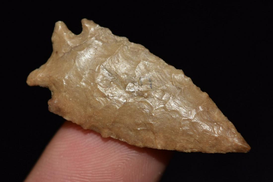 1 1/2" Bird Point, Missouri (1 of 4)