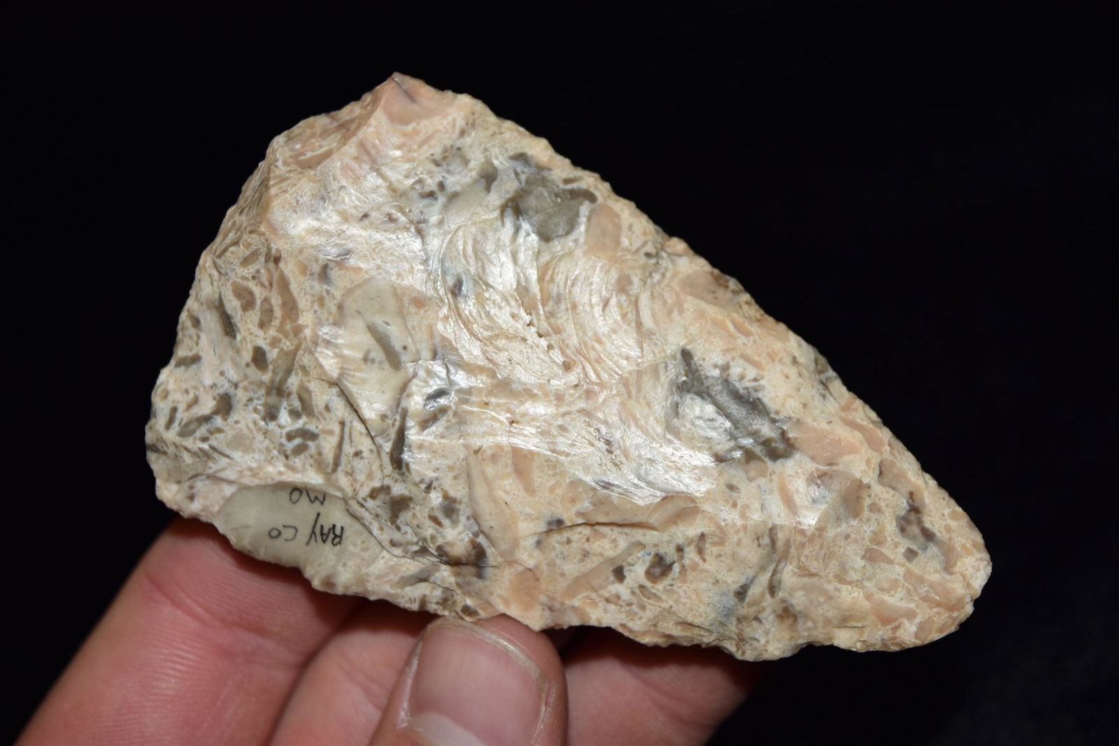 3 1/2" North Blade, Fossilized Material, Callaway Co, (1 of 6)