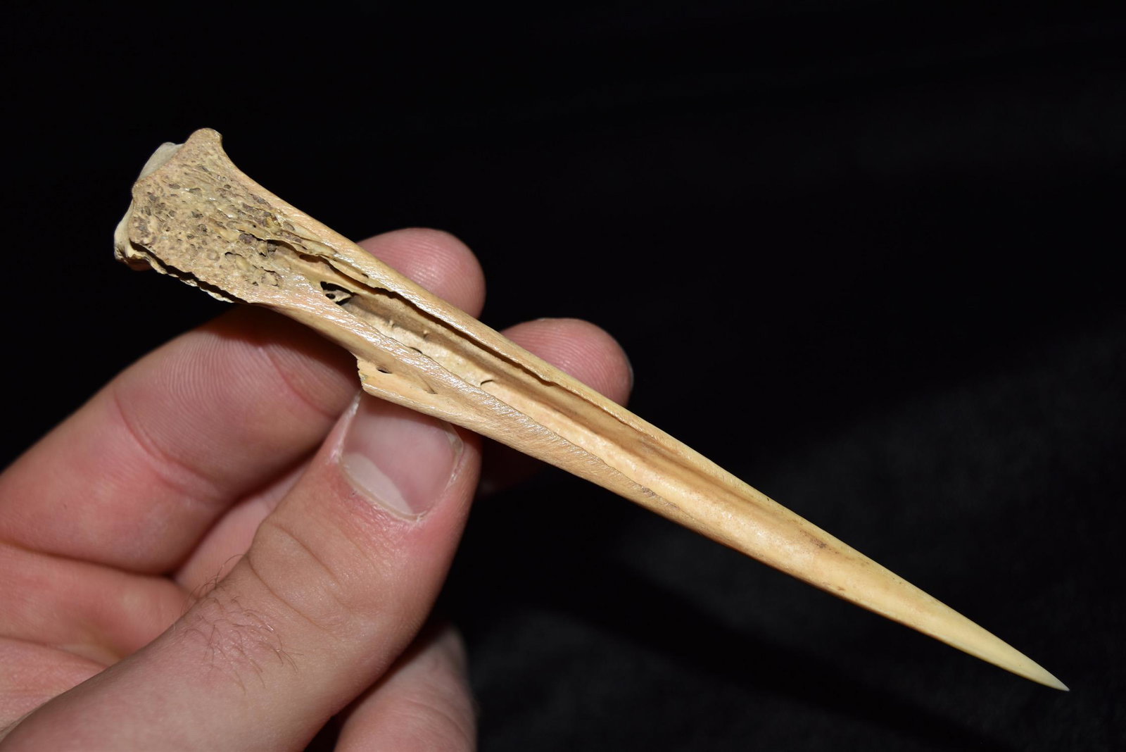 5 1/8" Bone Awl from Boley Site, Ex Gary Van Dyke,: 5 1/8" Bone Awl from Boley Site, Ex Gary Van Dyke, Morton Co, North Dakota
