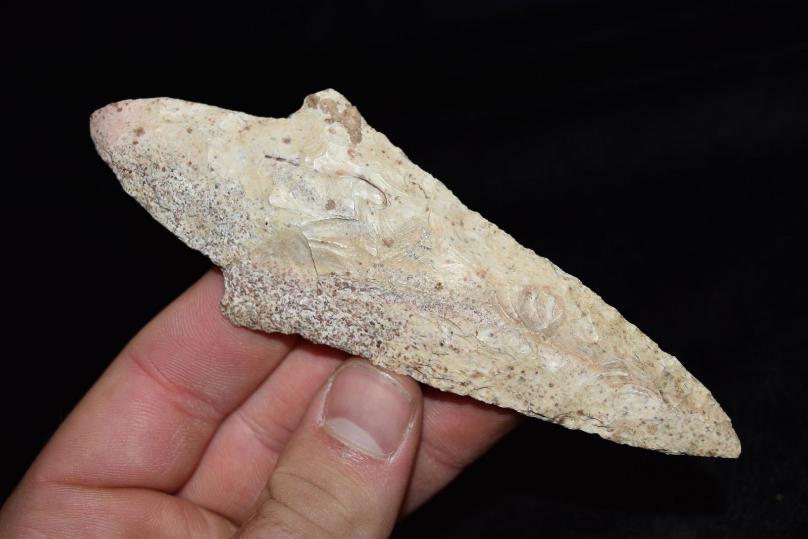 5 1/8" Adena Point, Pike Co, Illinois (1 of 5)