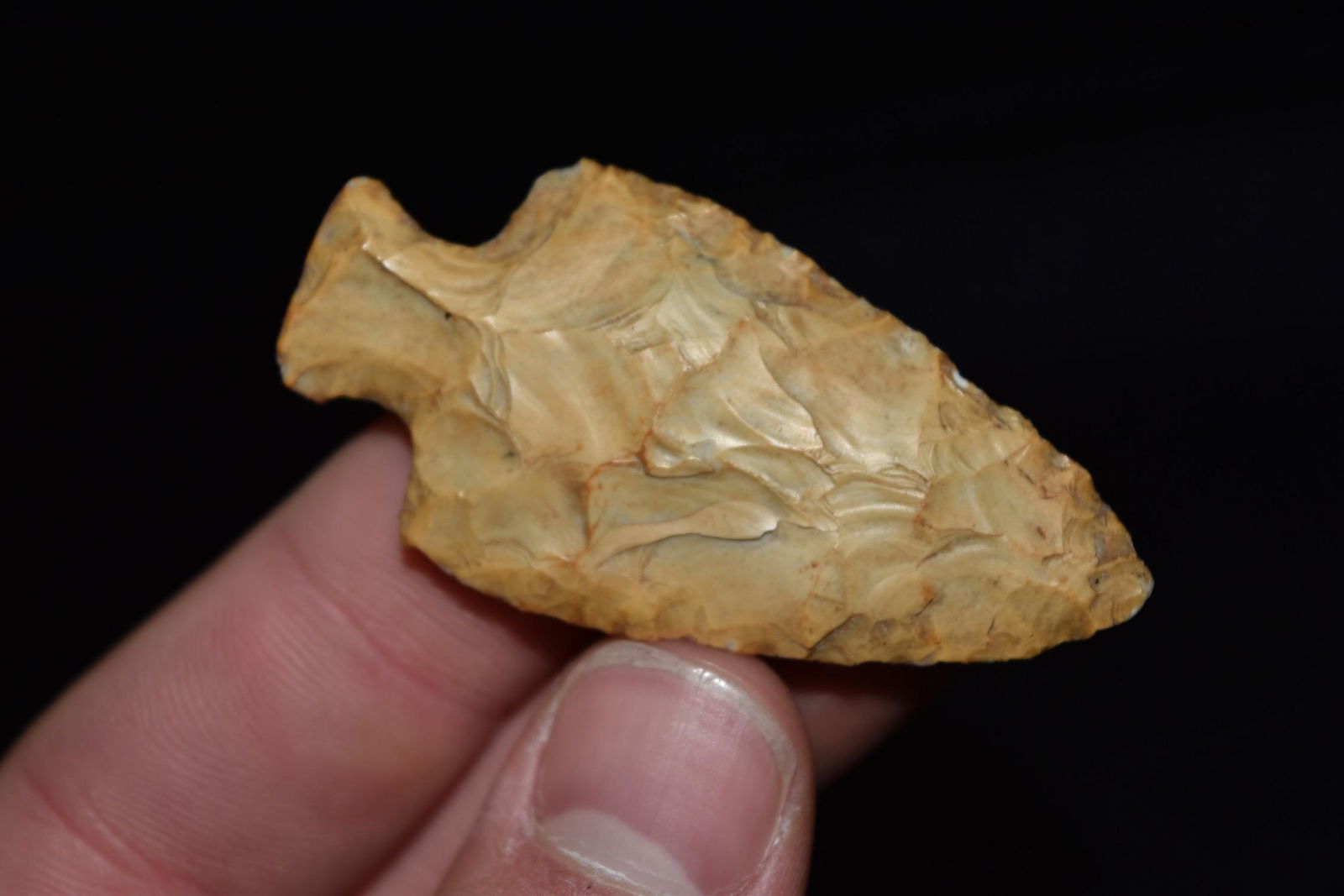 2 1/4" Table Rock Point, Calhoun Co, Illinois (1 of 5)