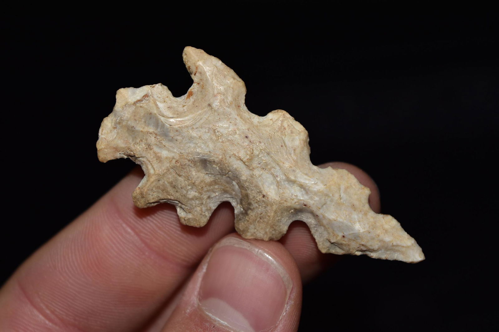 2 3/8" Eccentric Point, Southern Missouri (1 of 5)