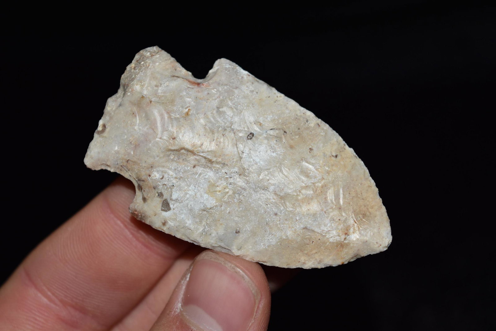 2 3/8" Rice Lobe Point, Blackjack, Missouri (1 of 5)