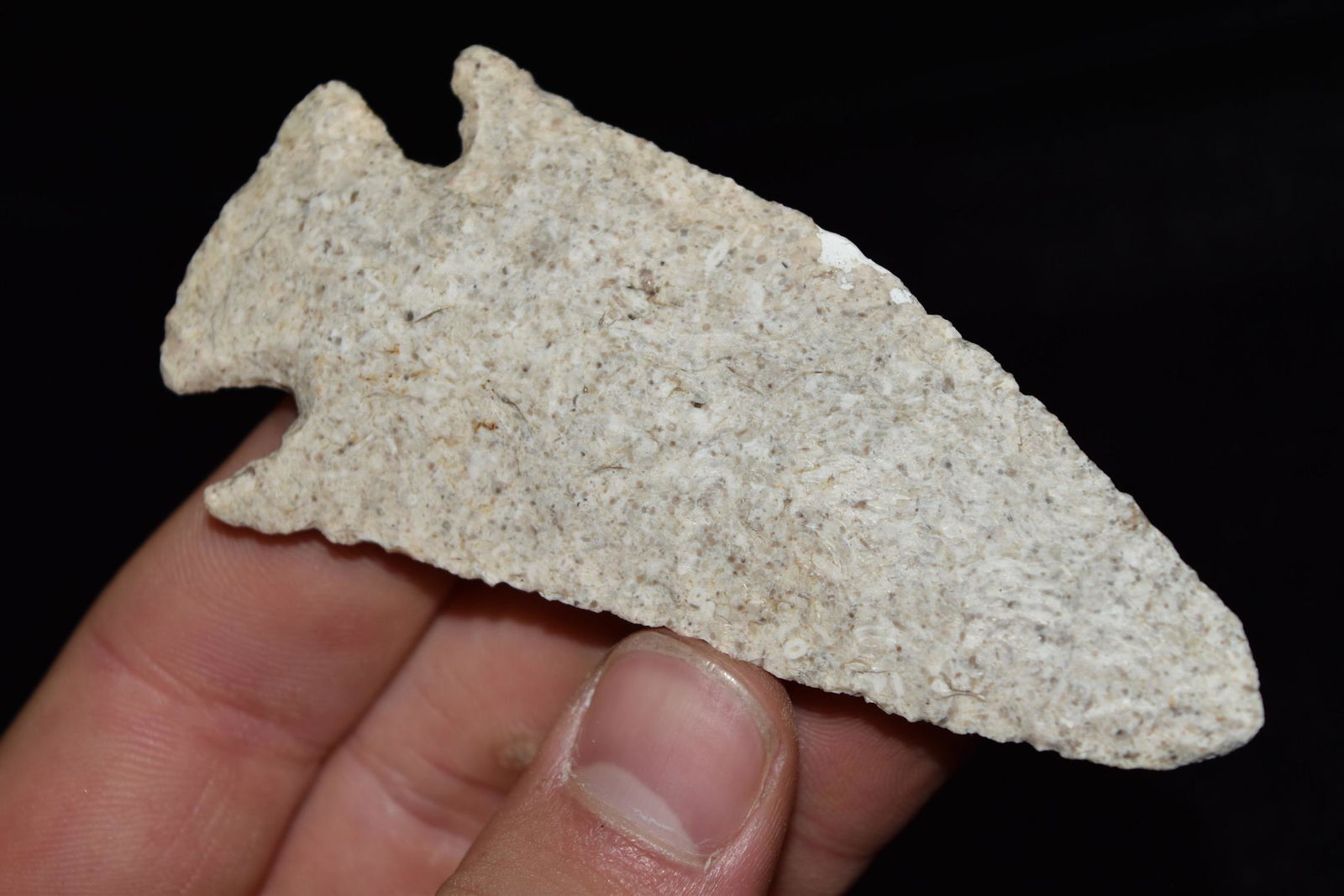 3 5/8" Apple Creek Point, Cooper Co, Missouri (1 of 5)