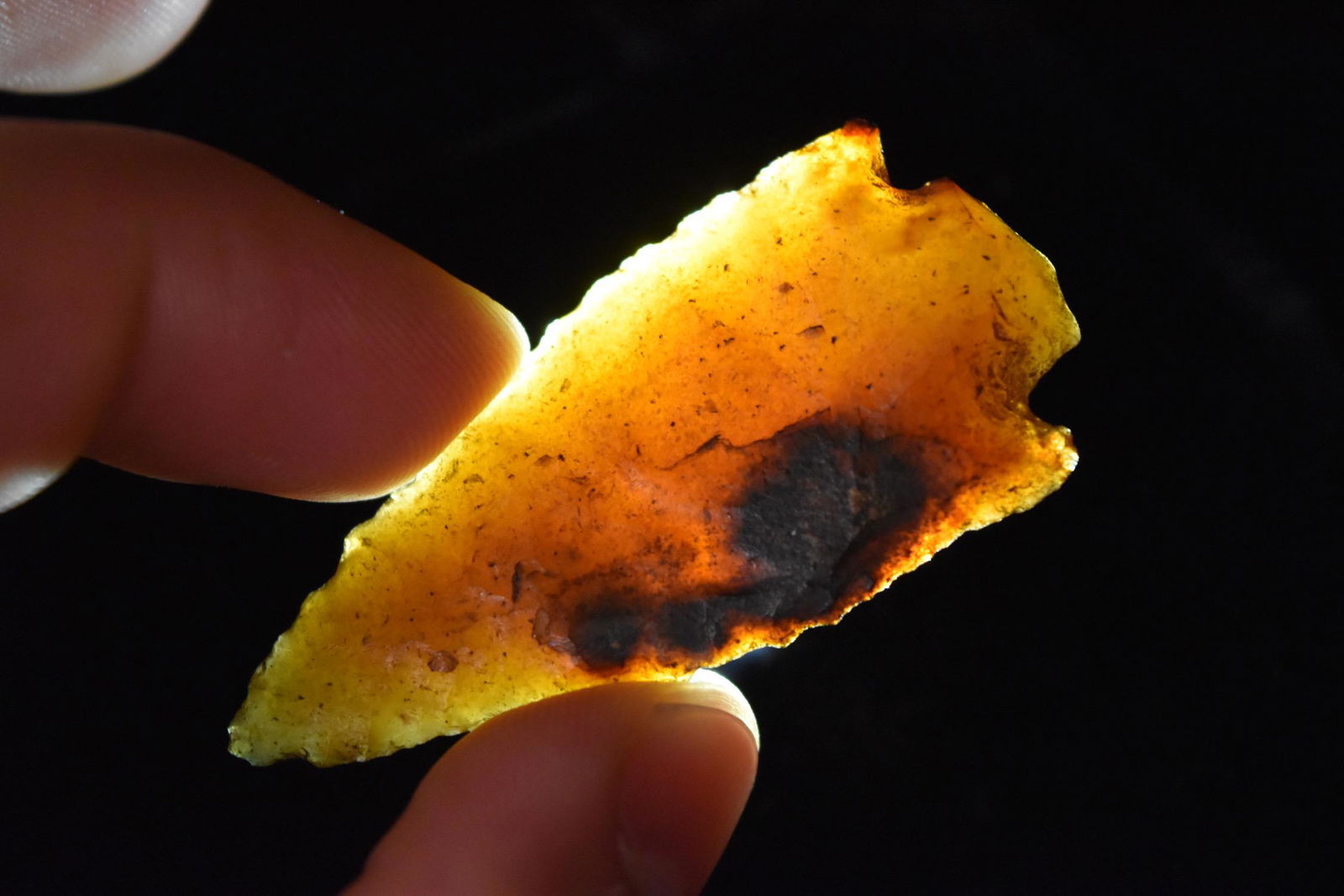 2 1/4" Cypress Creek Point, Florida (1 of 6)