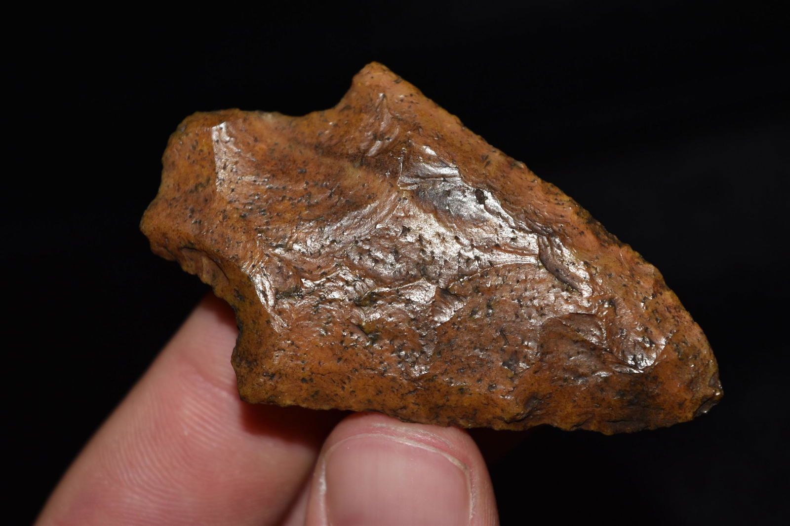 2 1/2" Pickwick Point, Marion Co, Florida (1 of 5)