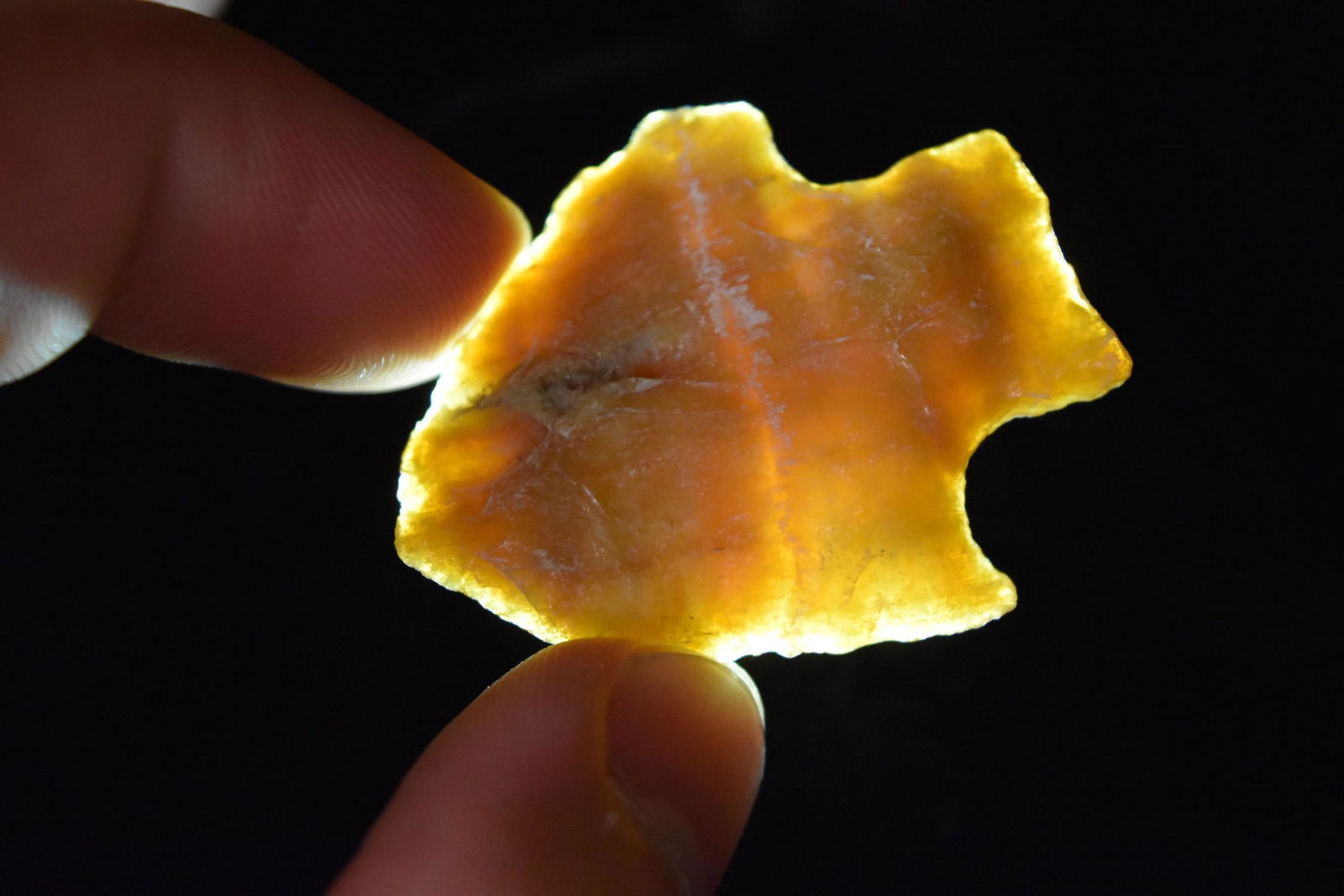 1 5/8" Alachua Point, Florida (1 of 6)