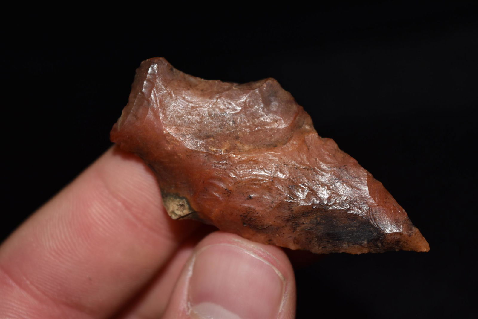 2 1/8" Hardee Point, Jackson Co, Florida (1 of 5)