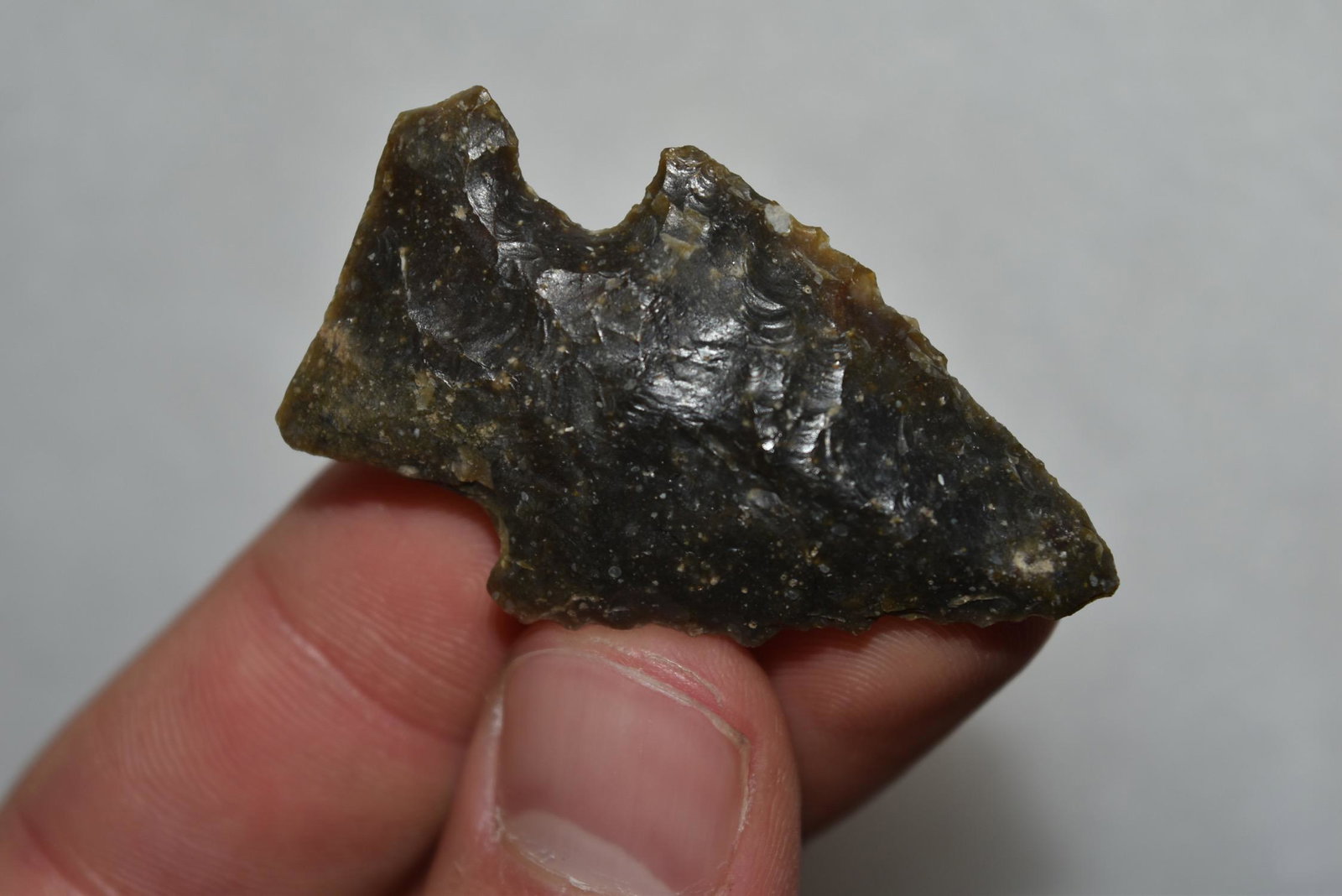 1 7/8" Bolen Beveled Point, Florida (1 of 5)