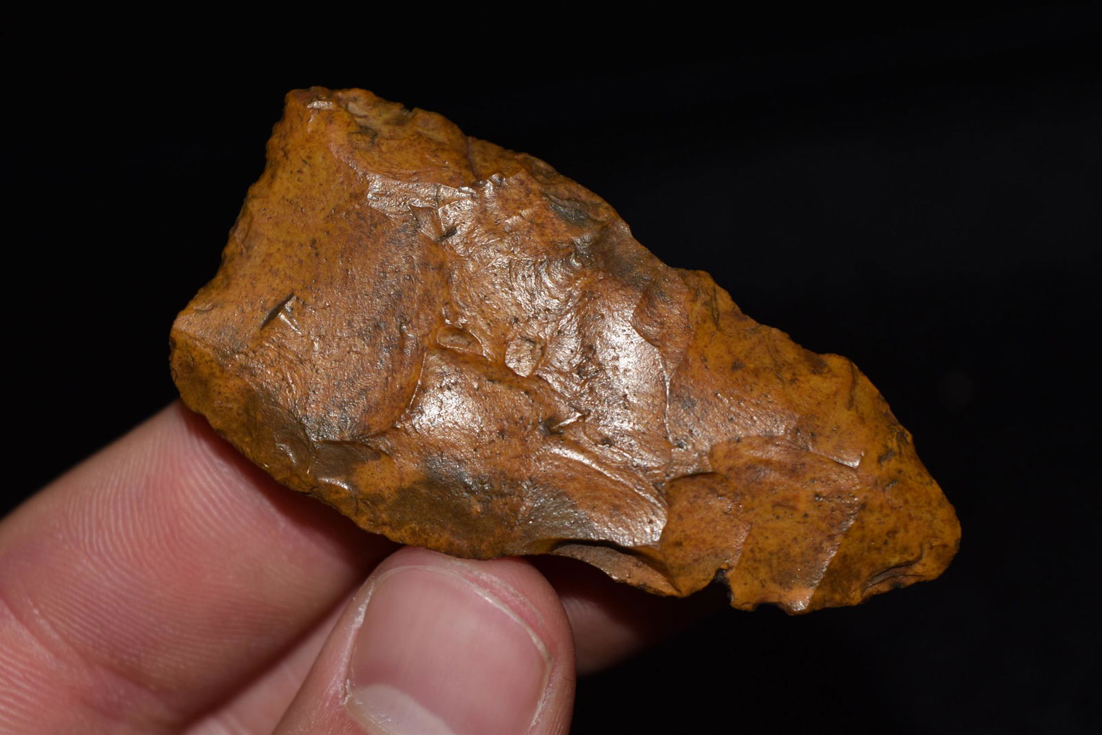 2 1/2" Clovis Point, Jefferson Co, Florida (1 of 5)