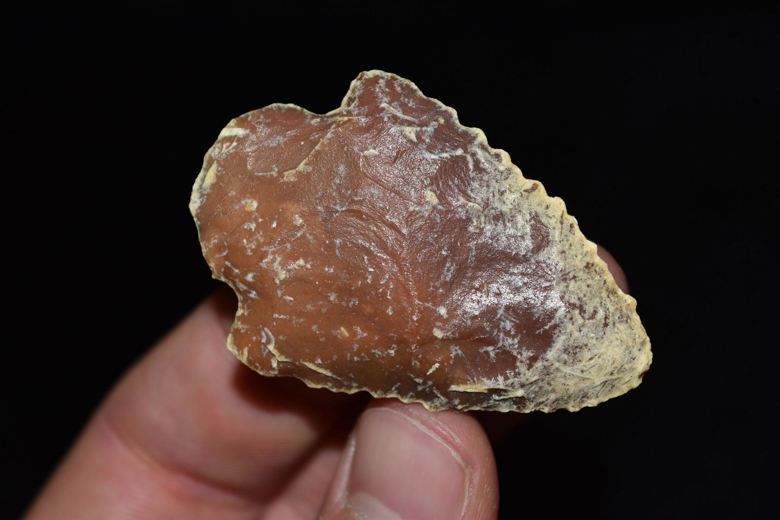 2 1/8" Sumpter Point, Florida (1 of 5)